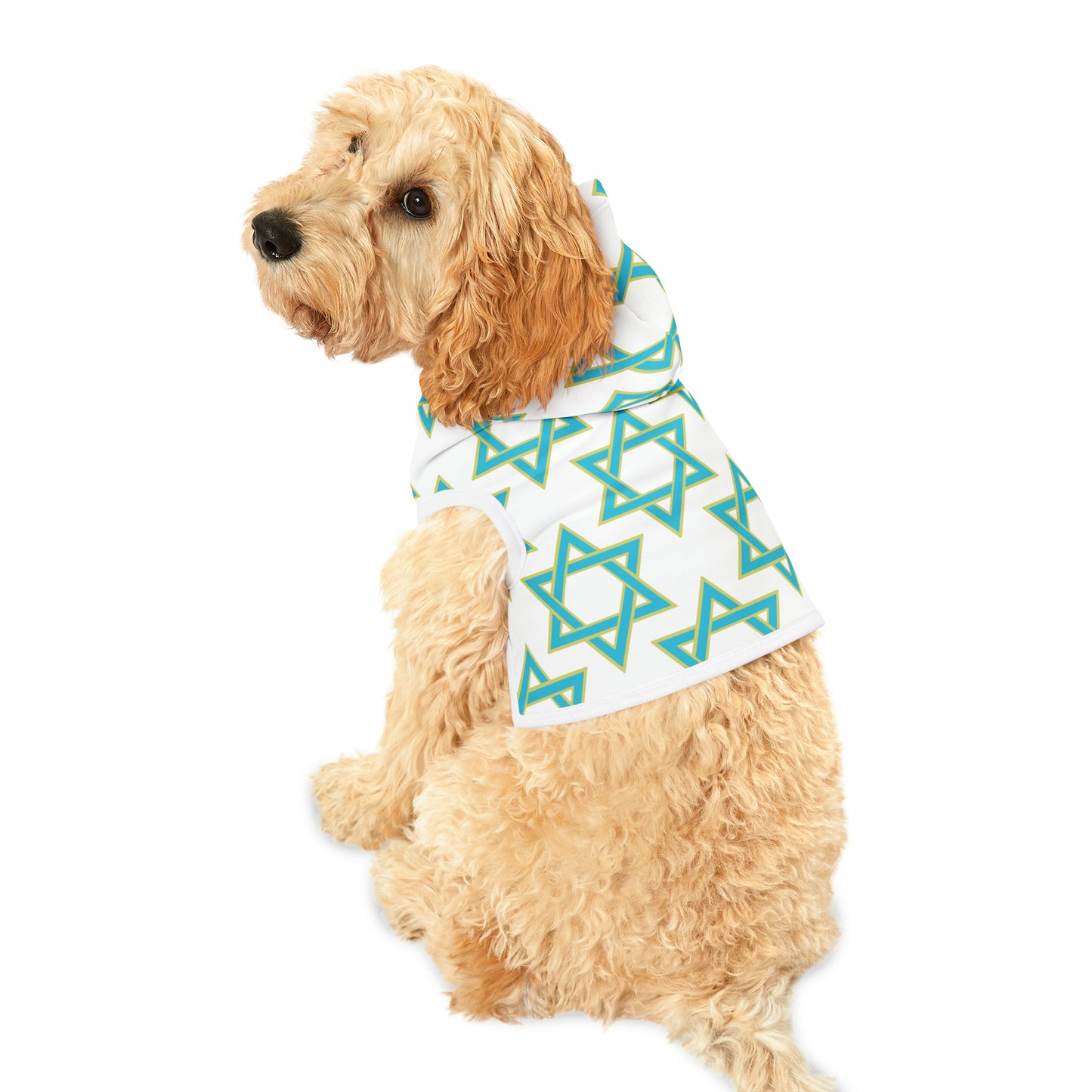 Akira Turquoise & Green Magan David Pattern on White Pet Hoodie