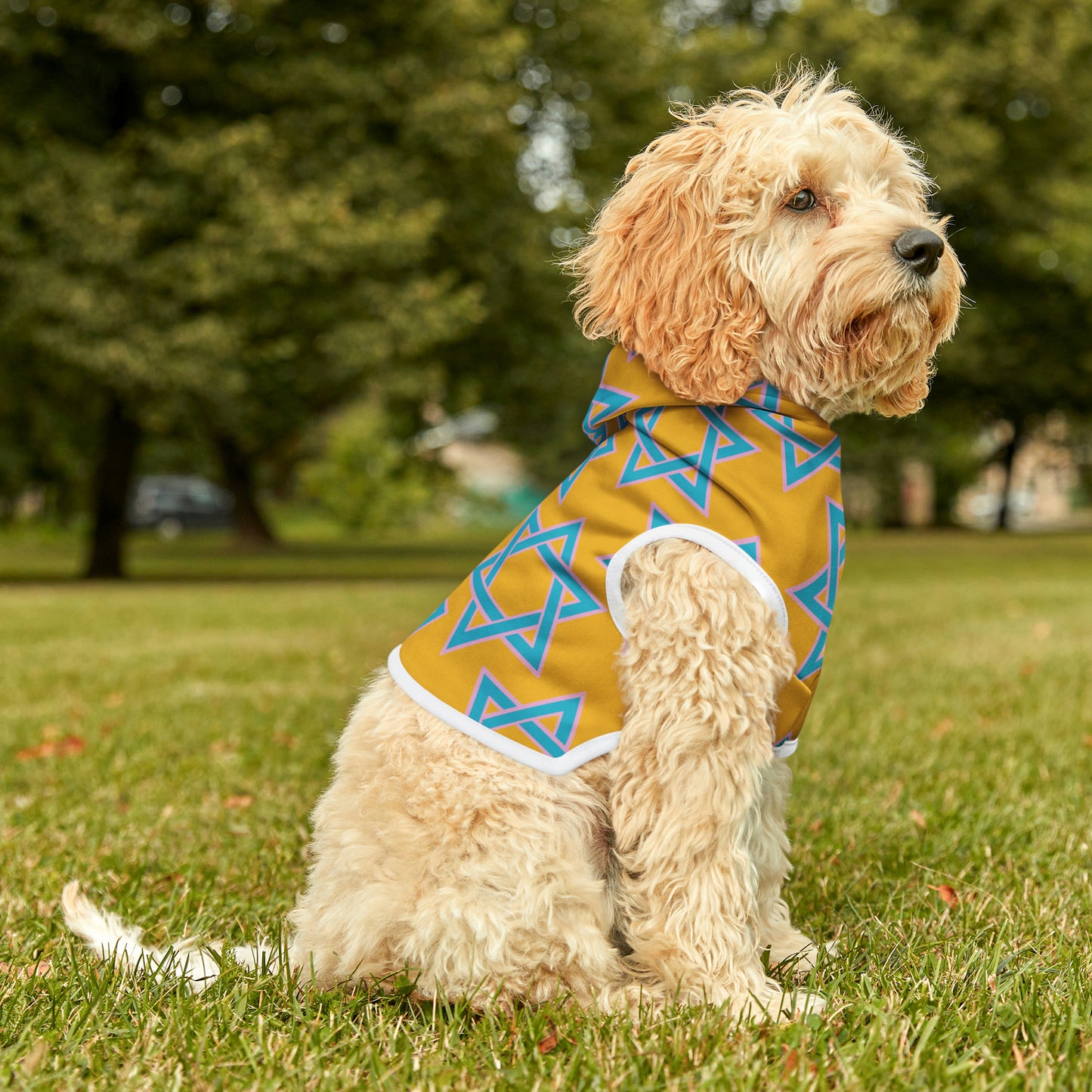 Akiva Blue & Pink Megan David Pattern on Yellow Pet Hoodie