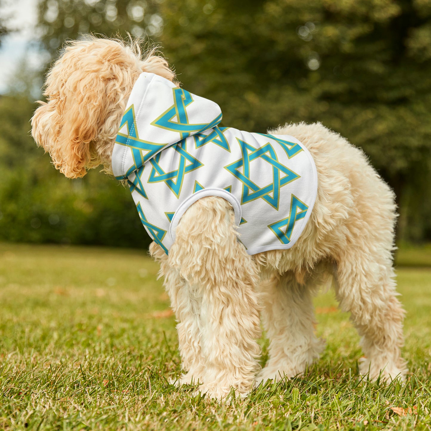 Akira Turquoise & Green Magan David Pattern on White Pet Hoodie