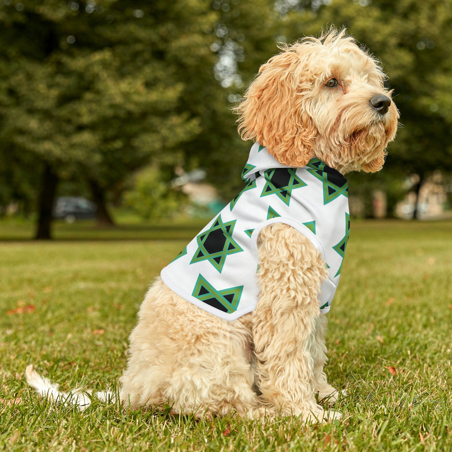 Magan Green David Pattern on White Pet Hoodie