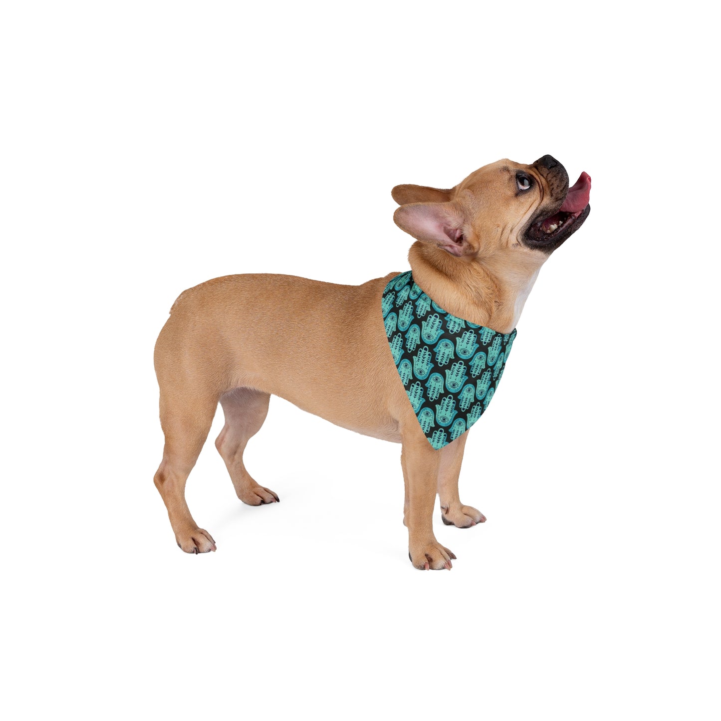 Hannah Bright Turquoise Hamsa Pattern Pet Bandana