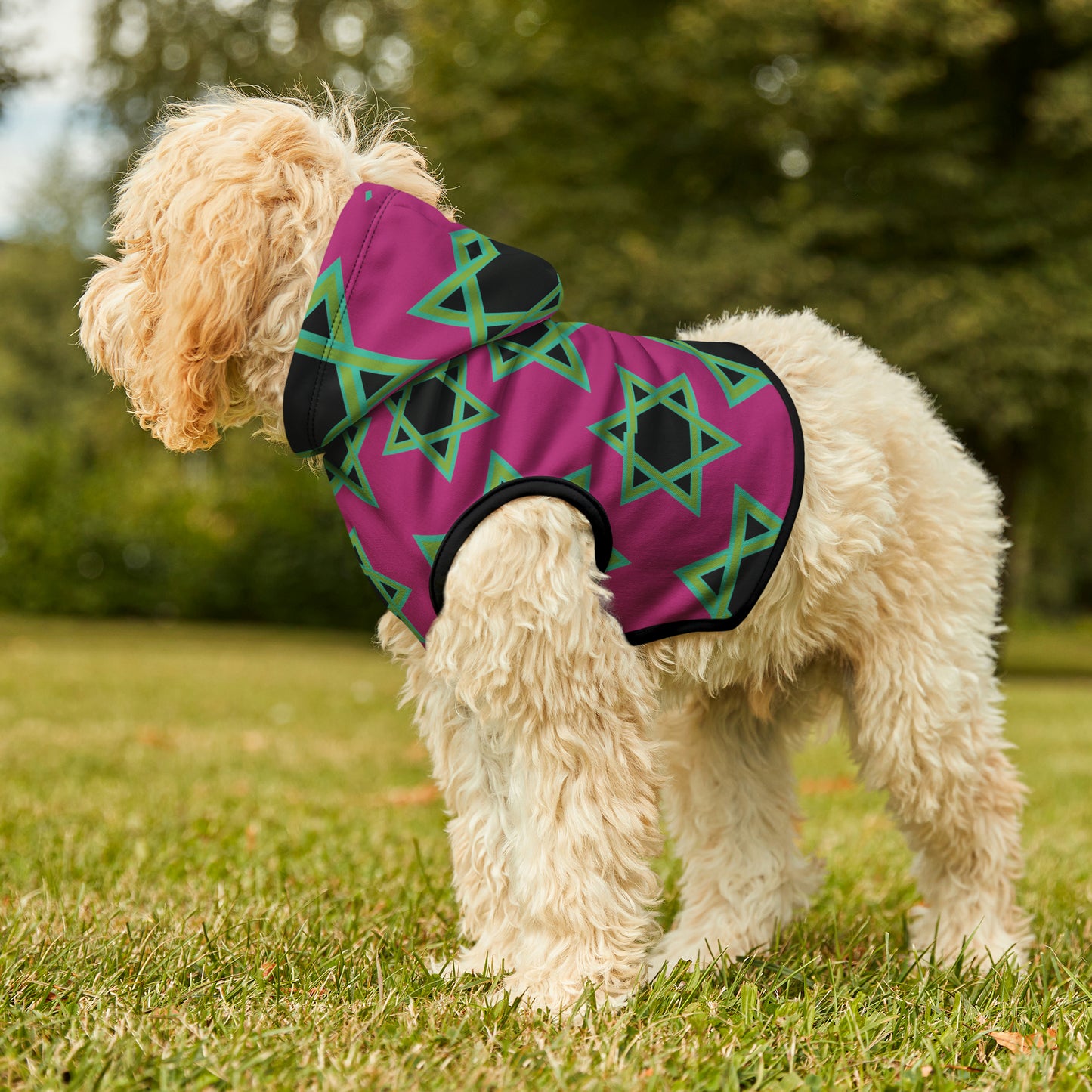 Magan Green David Pattern on Hot Pink Pet Hoodie