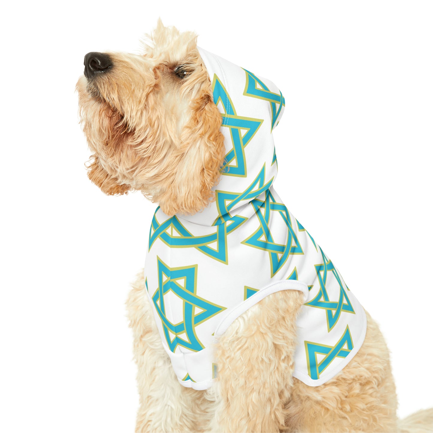 Akira Turquoise & Green Magan David Pattern on White Pet Hoodie