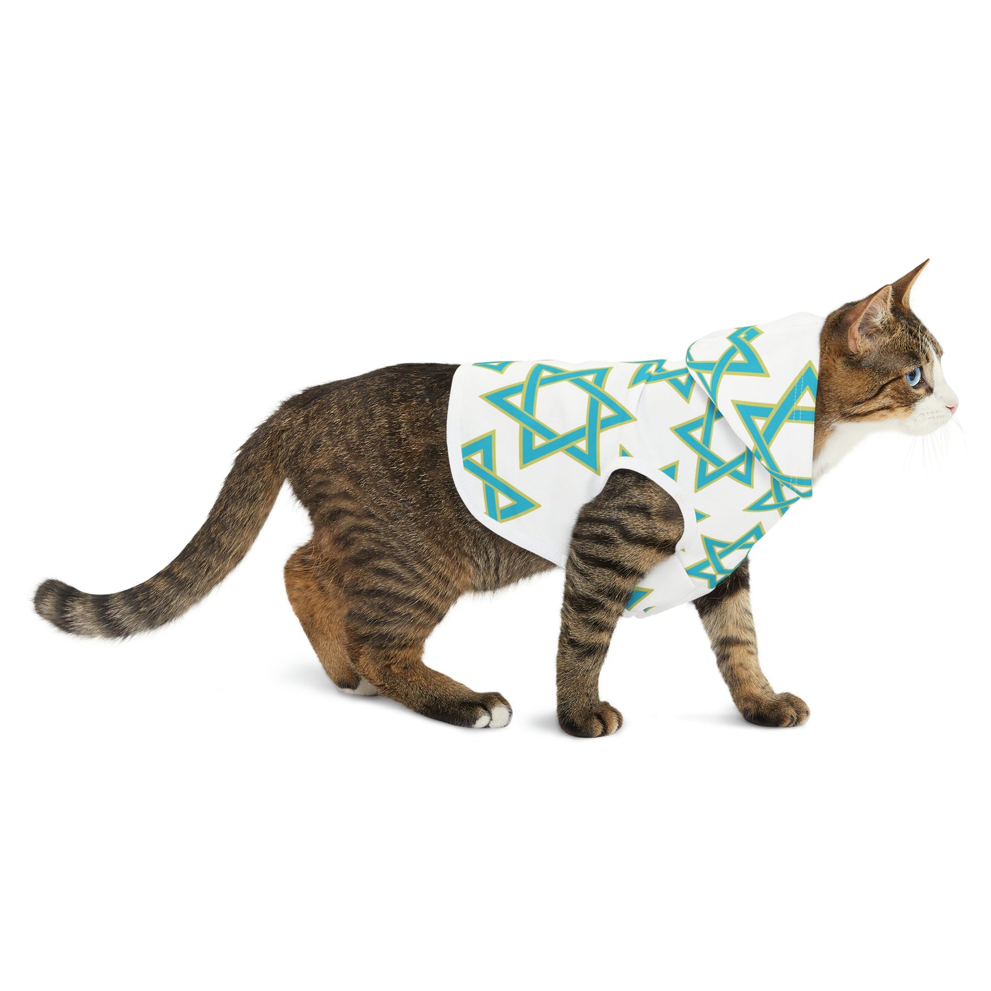 Akira Turquoise & Green Magan David Pattern on White Pet Hoodie