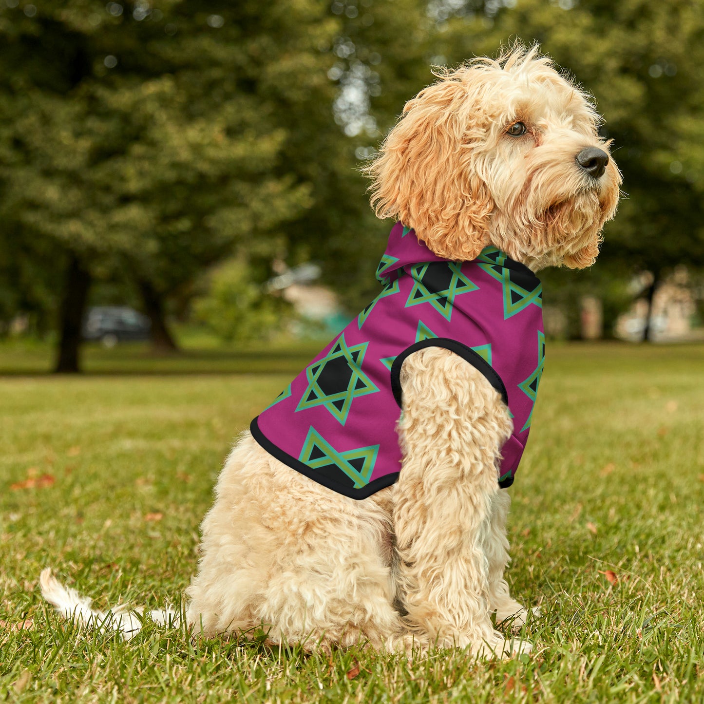 Magan Green David Pattern on Hot Pink Pet Hoodie