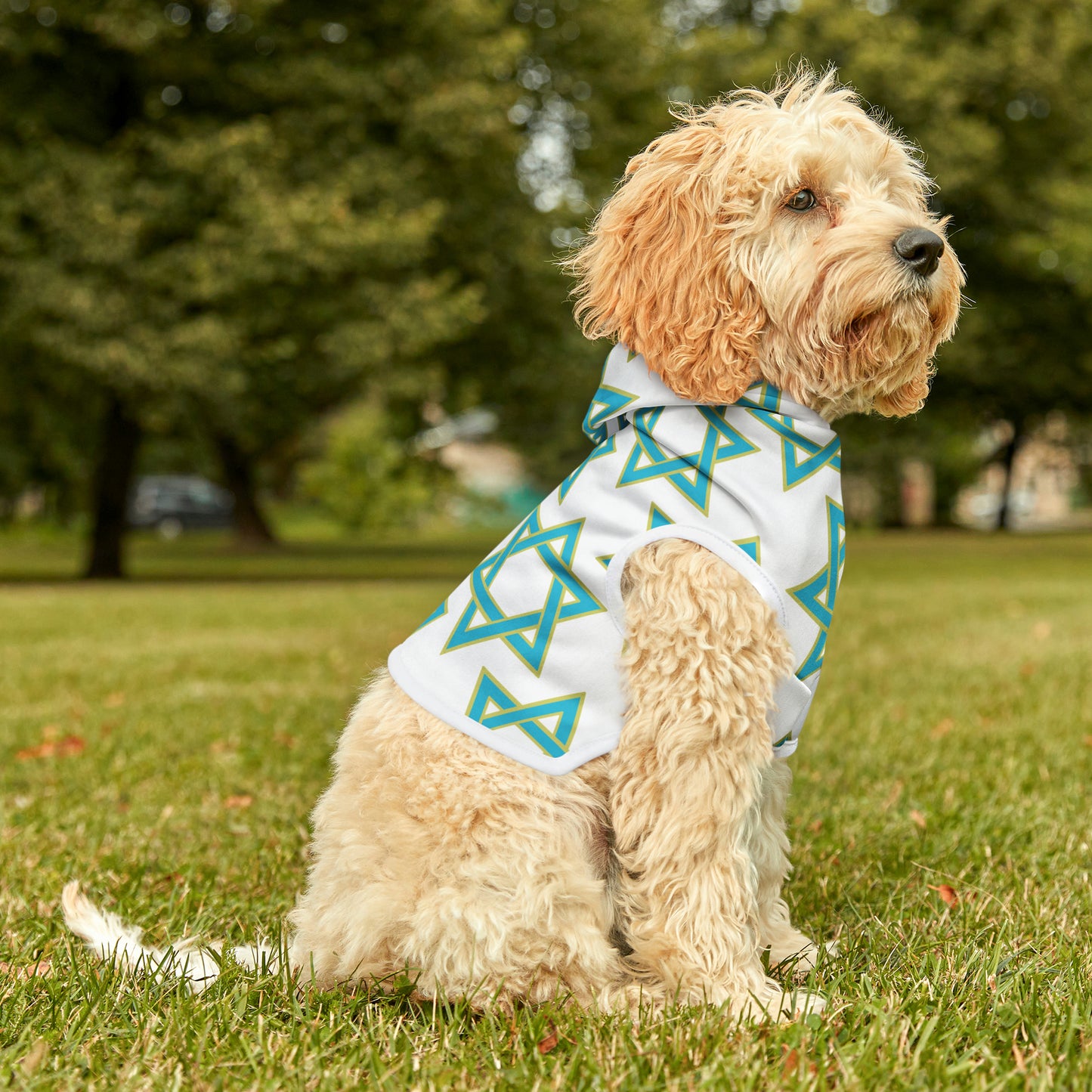 Akira Turquoise & Green Magan David Pattern on White Pet Hoodie