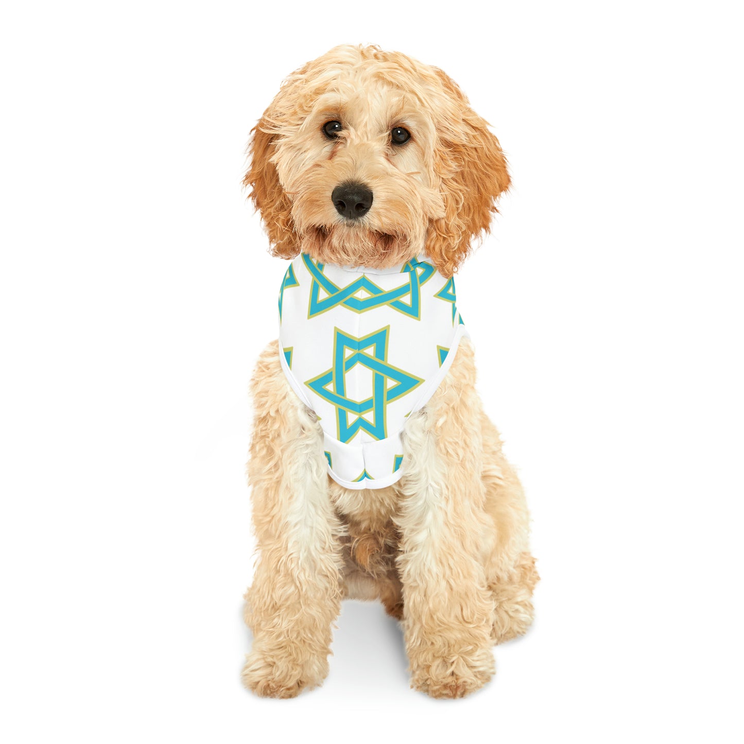 Akira Turquoise & Green Magan David Pattern on White Pet Hoodie