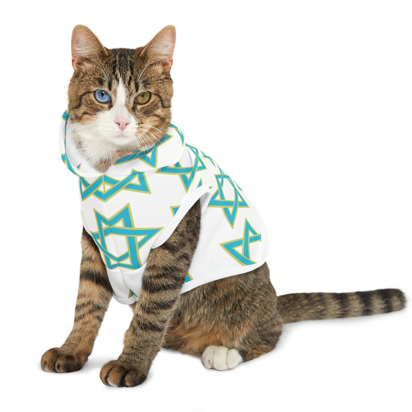 Akira Turquoise & Green Magan David Pattern on White Pet Hoodie