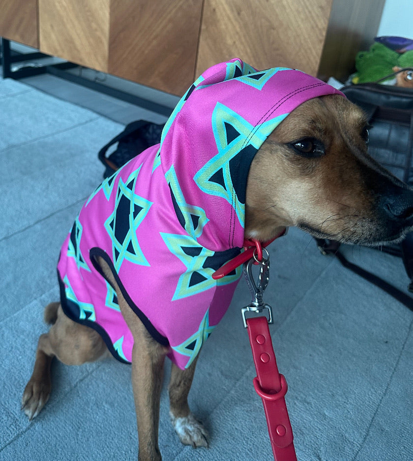 Magan Green David Pattern on Hot Pink Pet Hoodie