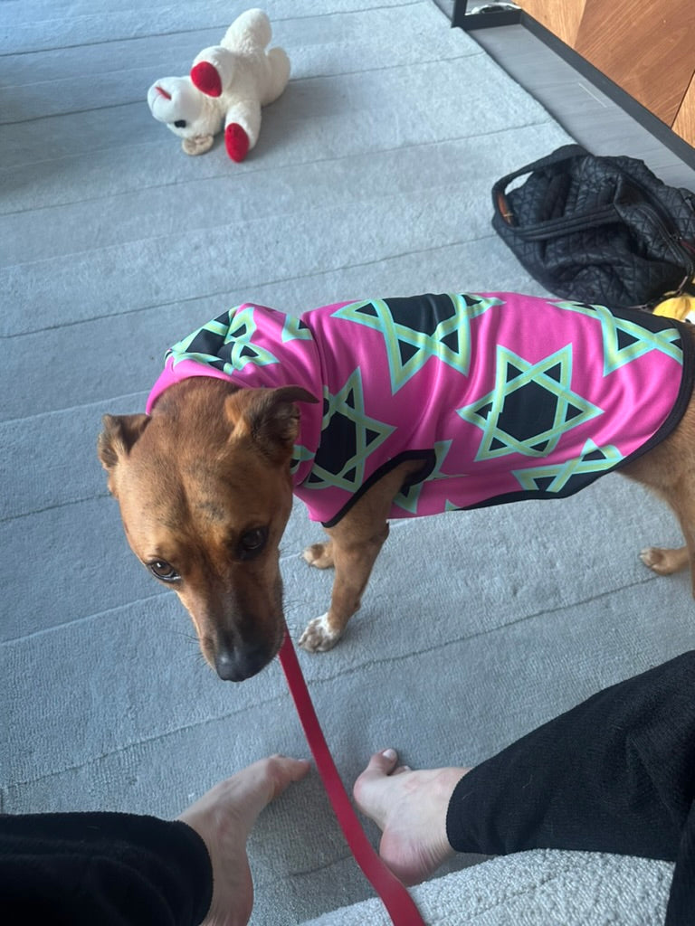 Magan Green David Pattern on Hot Pink Pet Hoodie