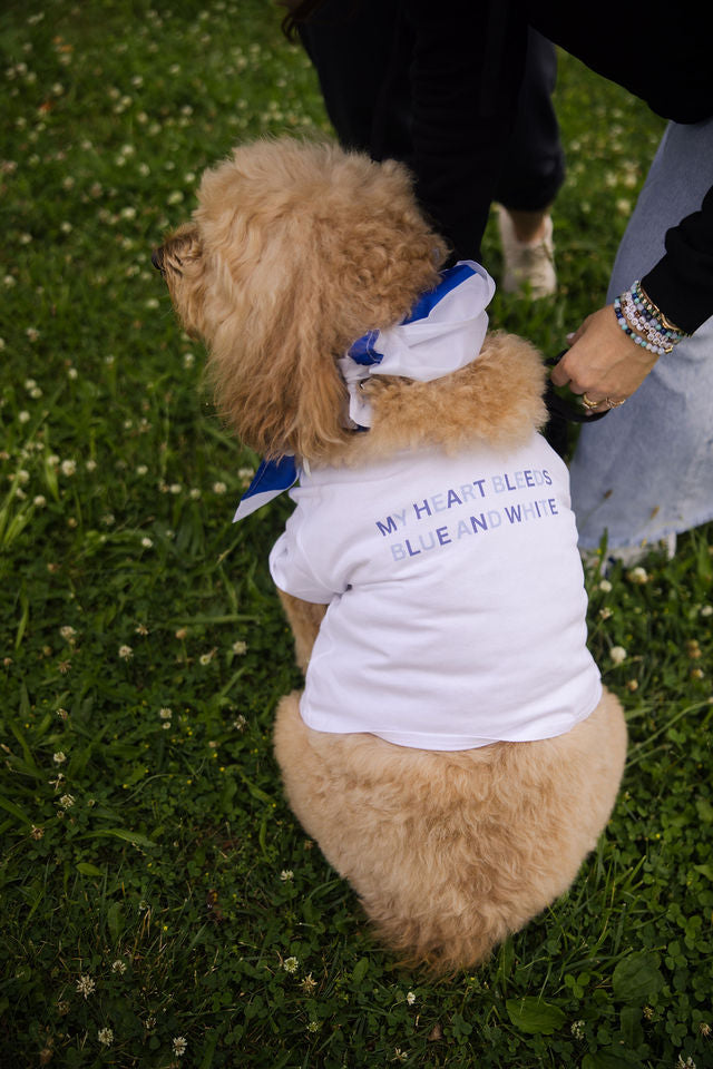 Heart Bleeds Blue & Blue Women's Crop Tee